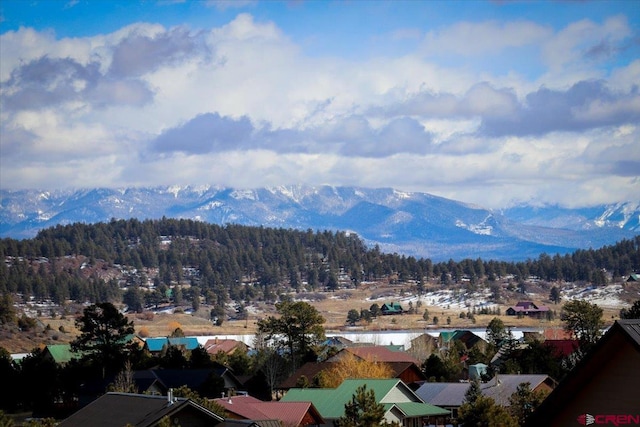 view of mountain feature featuring a view of trees