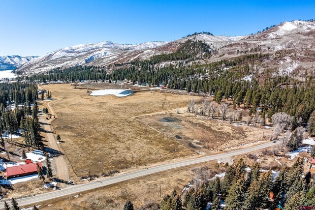 18702 County Road 501, Bayfield, CO 81122