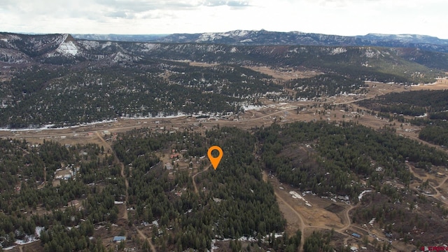 668/698 Squirrel Dr, Pagosa Springs CO, 81147 land for sale