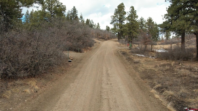 Listing photo 2 for 668/698 Squirrel Dr, Pagosa Springs CO 81147