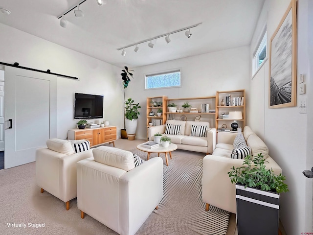 living area with a barn door