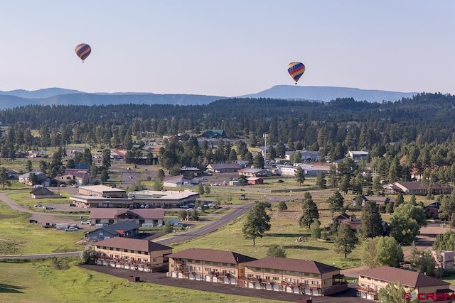 bird's eye view with a mountain view and a view of trees