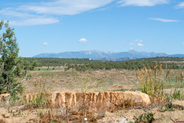 view of mountain feature