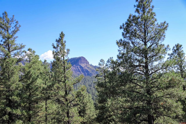 property view of mountains featuring a view of trees