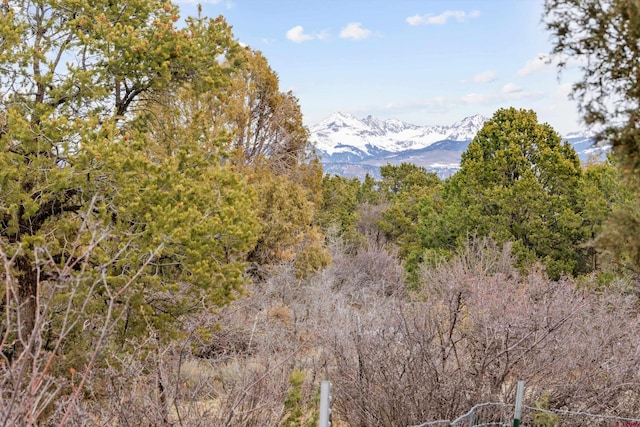 property view of mountains with a view of trees