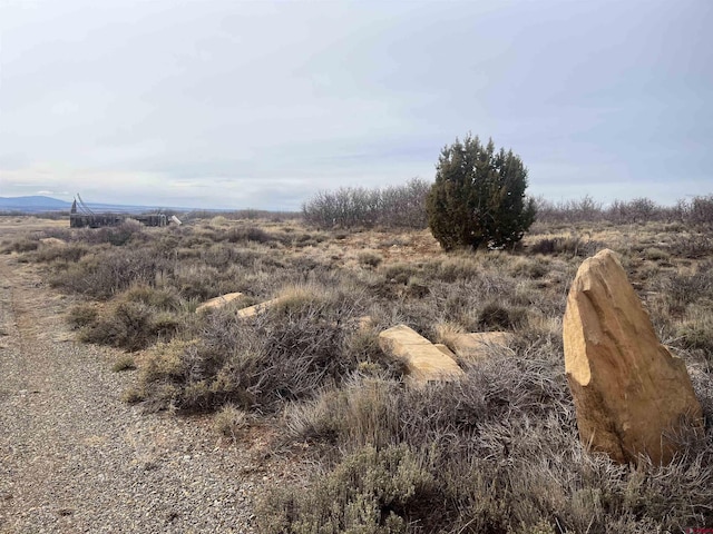10119 County Road C, Dove Creek, CO 81324