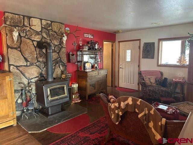 living area with a wood stove and wood finished floors