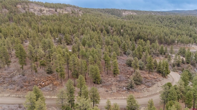 199 Starling Cir, Pagosa Springs CO, 81147 land for sale