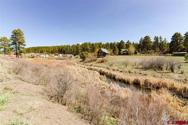 10200 W US Highway 160, Pagosa Springs CO, 81147 land for sale