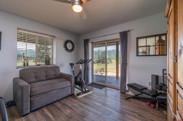 workout room featuring ceiling fan and dark wood-type flooring