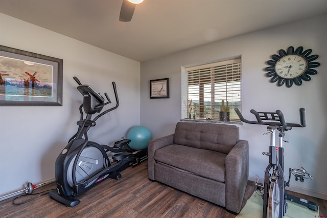 workout area with wood finished floors