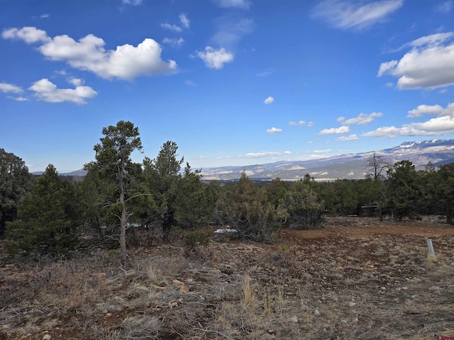 30 W Pinon Rd, Ridgway CO, 81432 land for sale