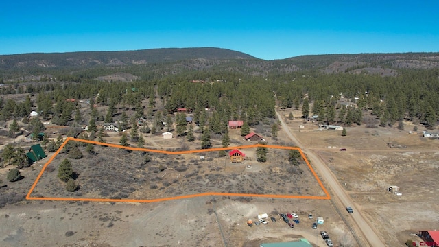 drone / aerial view with a mountain view and a wooded view