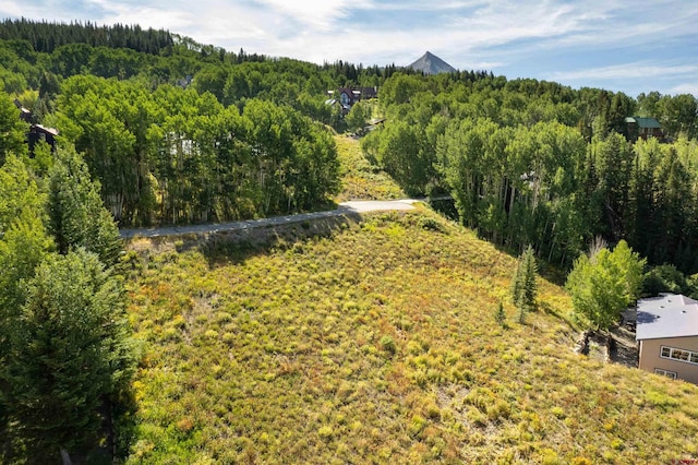 16 Aspen Ln, Mount Crested Butte CO, 81225 land for sale