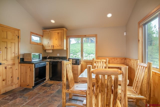 kitchen featuring wainscoting, dark countertops, vaulted ceiling, black appliances, and a wealth of natural light