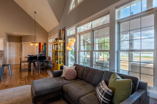 living area featuring high vaulted ceiling, a healthy amount of sunlight, and wood finished floors