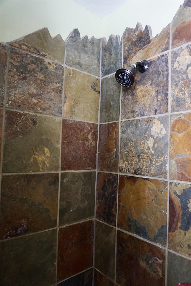 interior details featuring a tile shower