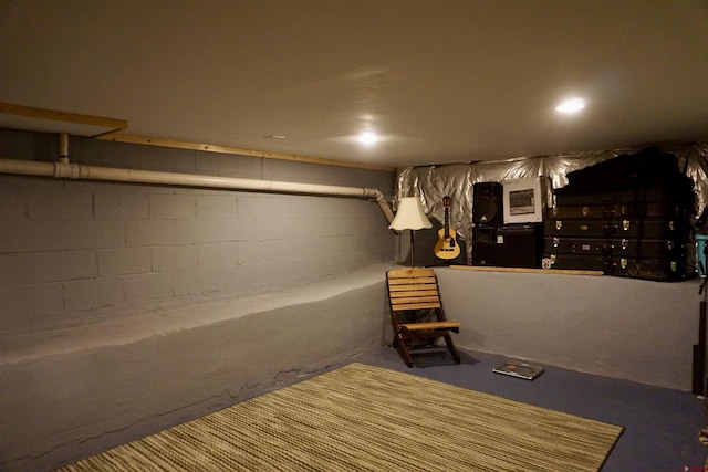 finished basement featuring concrete block wall