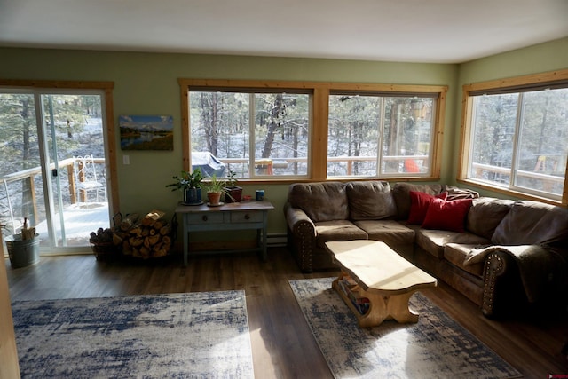 living area with plenty of natural light, a baseboard heating unit, and wood finished floors