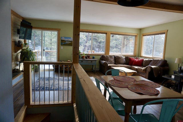 dining area featuring plenty of natural light, wood finished floors, and a baseboard radiator