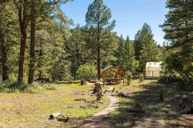 view of yard with a wooded view, an outdoor structure, and an exterior structure