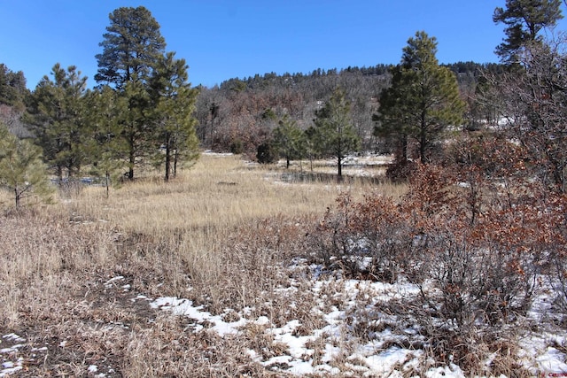 269 Dylan Dr, Pagosa Springs CO, 81147 land for sale