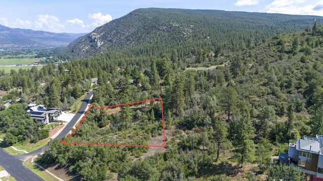 TBD Scout Ridge Rd, Durango CO, 81301 land for sale