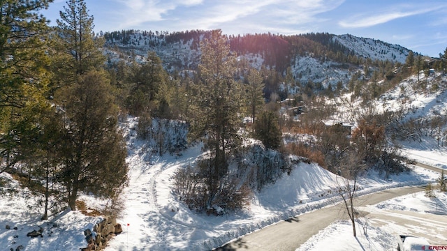 Listing photo 2 for TBD Scout Ridge Rd, Durango CO 81301