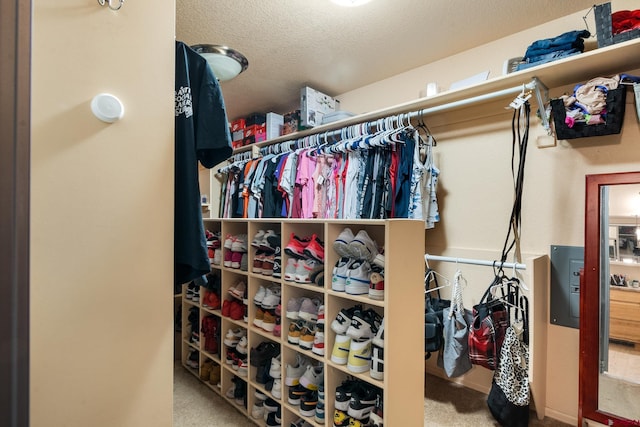 walk in closet with carpet