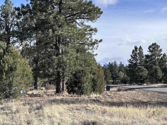 1960 Marmot Dr, Ridgway CO, 81432 land for sale