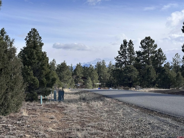 Listing photo 3 for 1960 Marmot Dr, Ridgway CO 81432