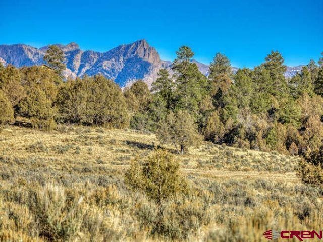 X Tall Pines Pl, Pagosa Springs CO, 81147 land for sale