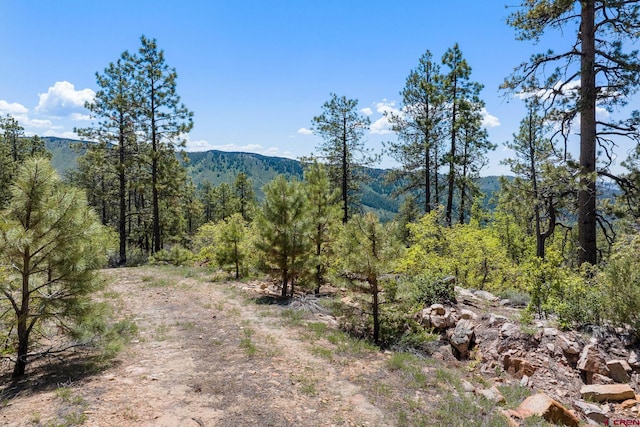 2511 Taylor Ranch Rd, Durango CO, 81301 land for sale