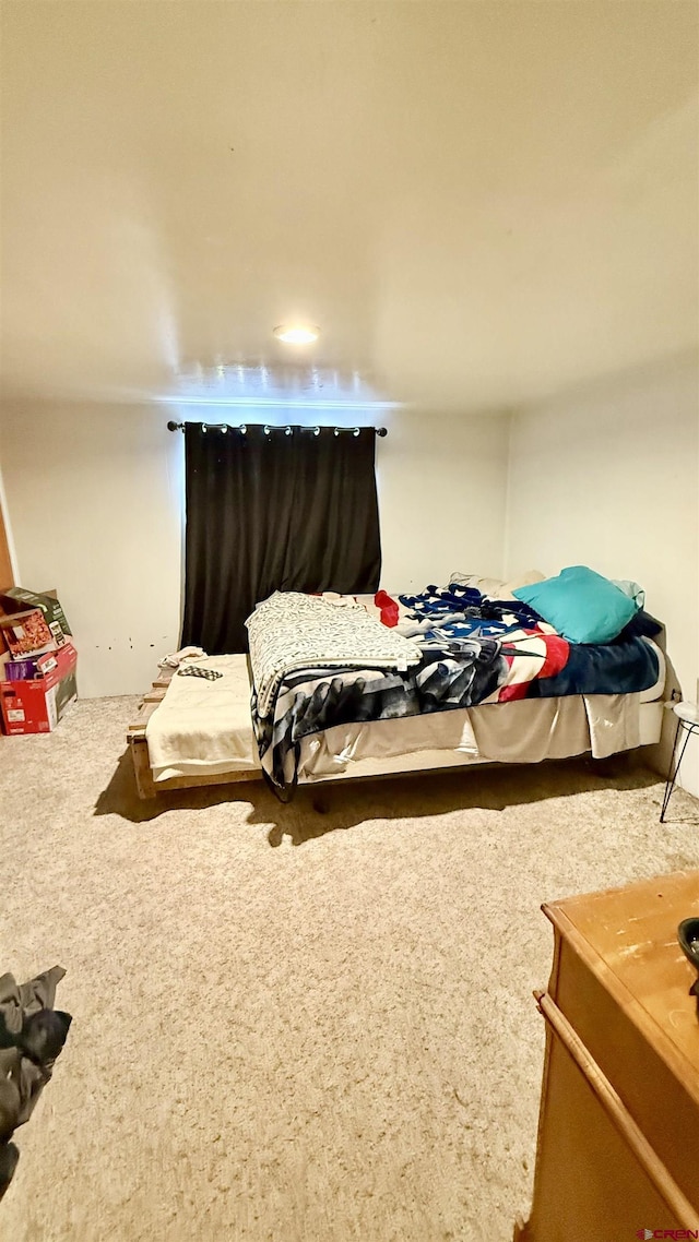 bedroom with carpet floors