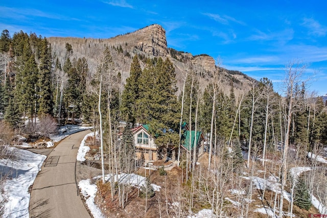 property view of mountains with a wooded view