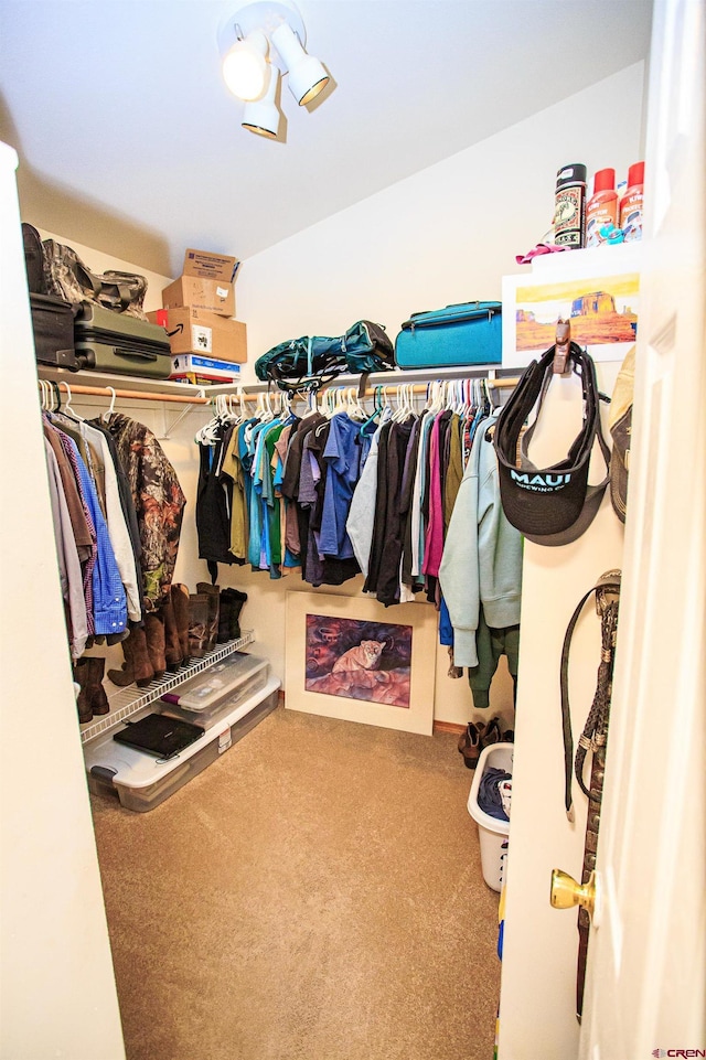 walk in closet with carpet flooring