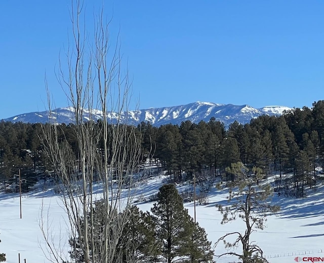 18 Balfour Ct, Pagosa Springs CO, 81147 land for sale