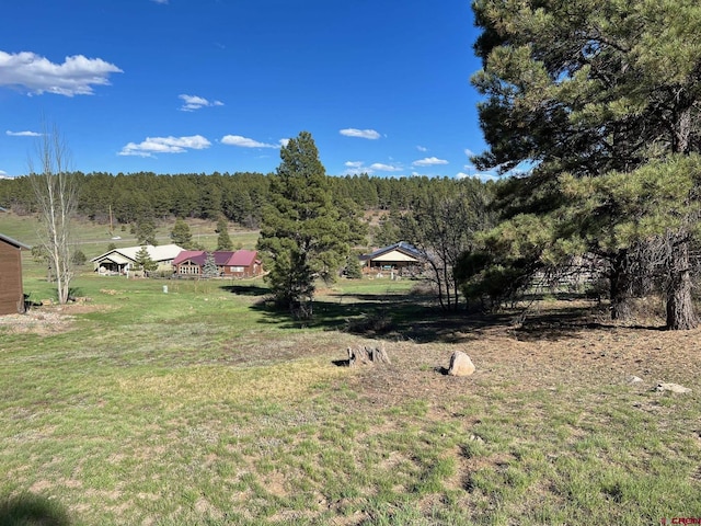 Listing photo 3 for 18 Balfour Ct, Pagosa Springs CO 81147