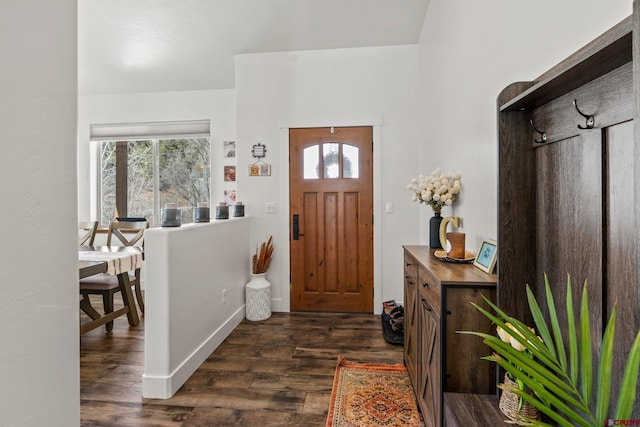 foyer with a healthy amount of sunlight and dark wood-style floors