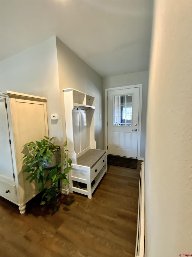 mudroom featuring dark wood finished floors and a baseboard radiator