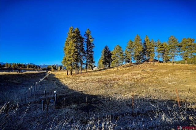 view of local wilderness featuring a rural view