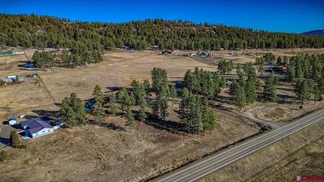 bird's eye view with a forest view