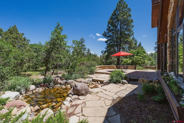 view of yard with a patio area