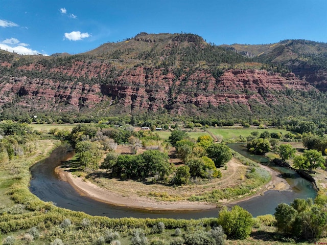 view of mountain feature with a wooded view and a water view