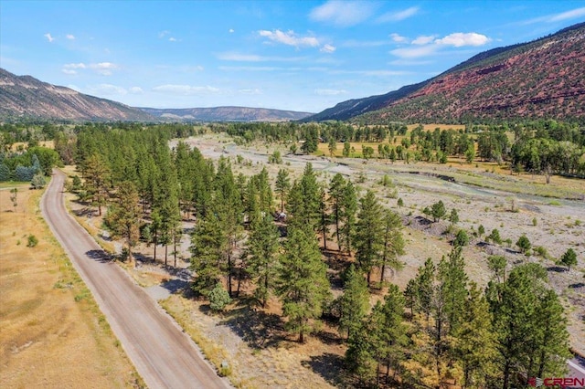 958 County Road 23, Ridgway CO, 81432 land for sale