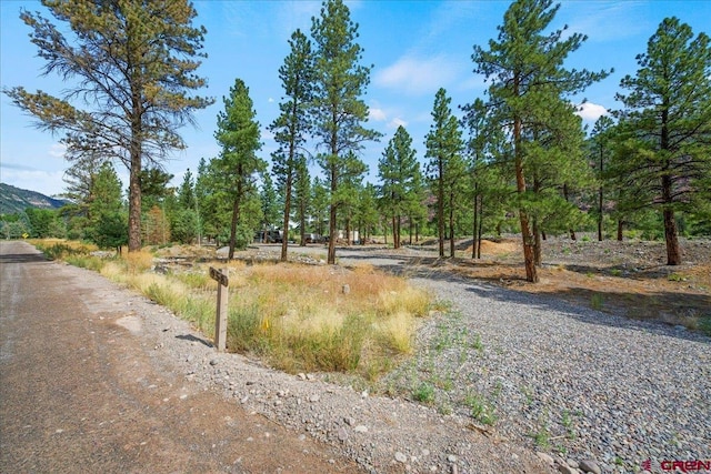 Listing photo 3 for 958 County Road 23, Ridgway CO 81432