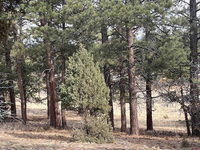 Listing photo 3 for TBD White Tail Ln, Ridgway CO 81432