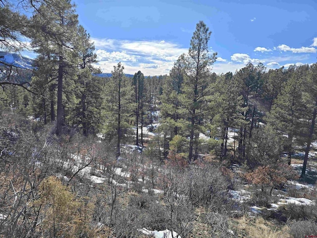 Listing photo 3 for 492 Circle Dr, Pagosa Springs CO 81147