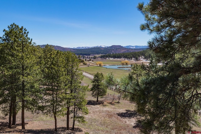 property view of mountains with a water view