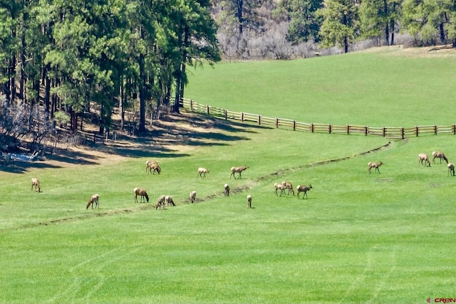 view of property's community with a yard and a rural view